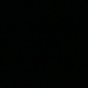 Meet your Posher, Niko